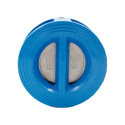 Non return valve CI DN100