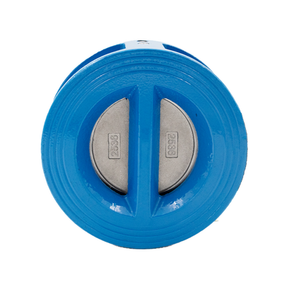 Non return valve CI DN100