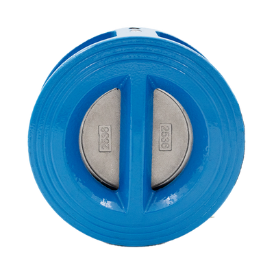 Non return valve CI DN125