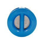 Non return valve CI DN80
