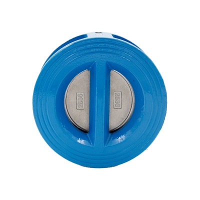 Non return valve CI DN80