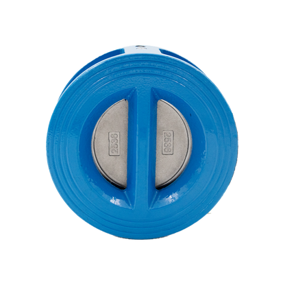 Non return valve CI DN80
