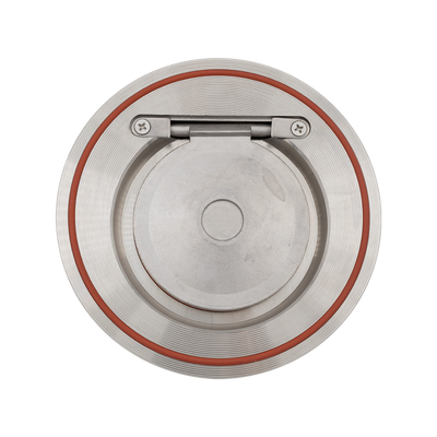 Non return valve SS DN100