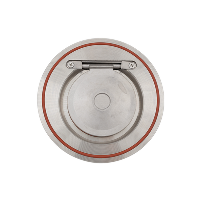 Non return valve SS DN50