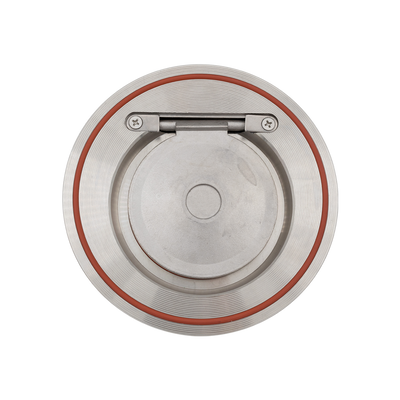Non return valve SS DN80