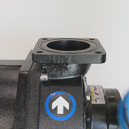 Non return valve CI DN100